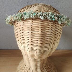 Coronita de paniculata verde empolvado